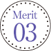 Merit3